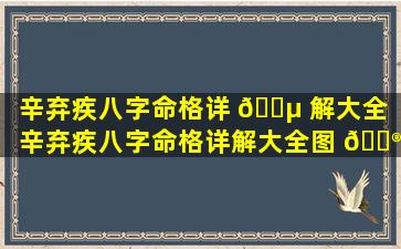 辛弃疾八字命格详 🐵 解大全「辛弃疾八字命格详解大全图 💮 片」